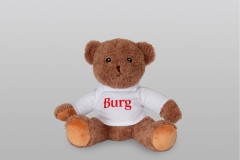 Teddy bear 1
